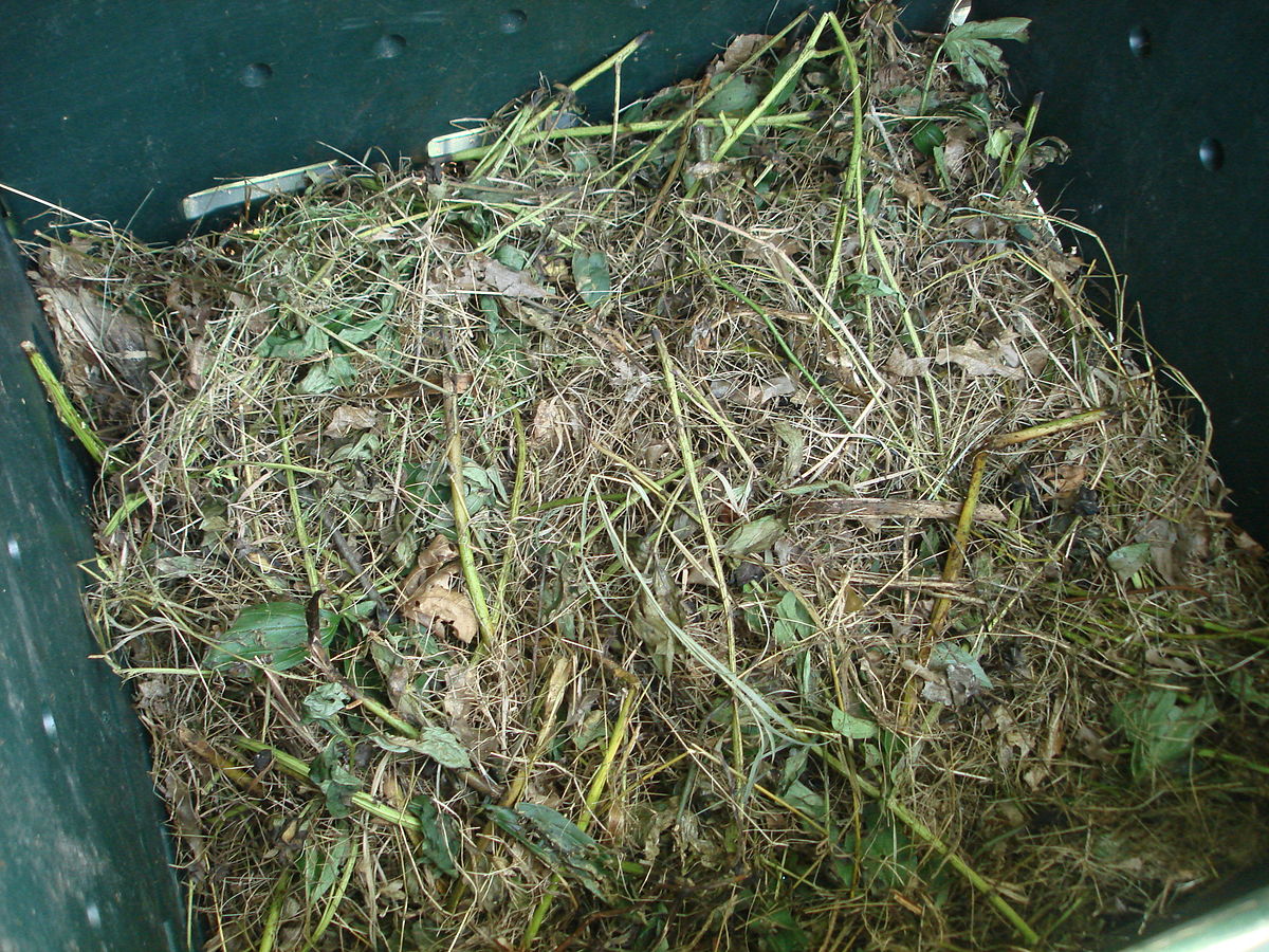 Compost 1