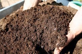Compost 2