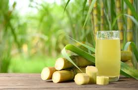 Sugarcane 3